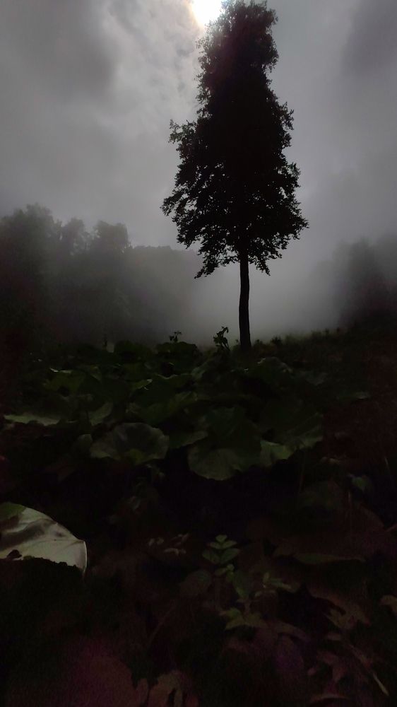 Photo #9309868
