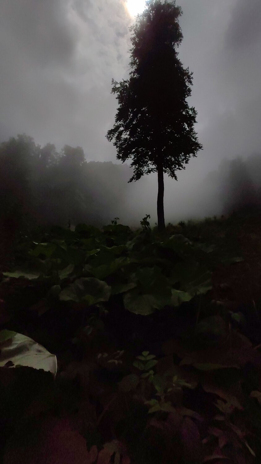 Photo #9309868