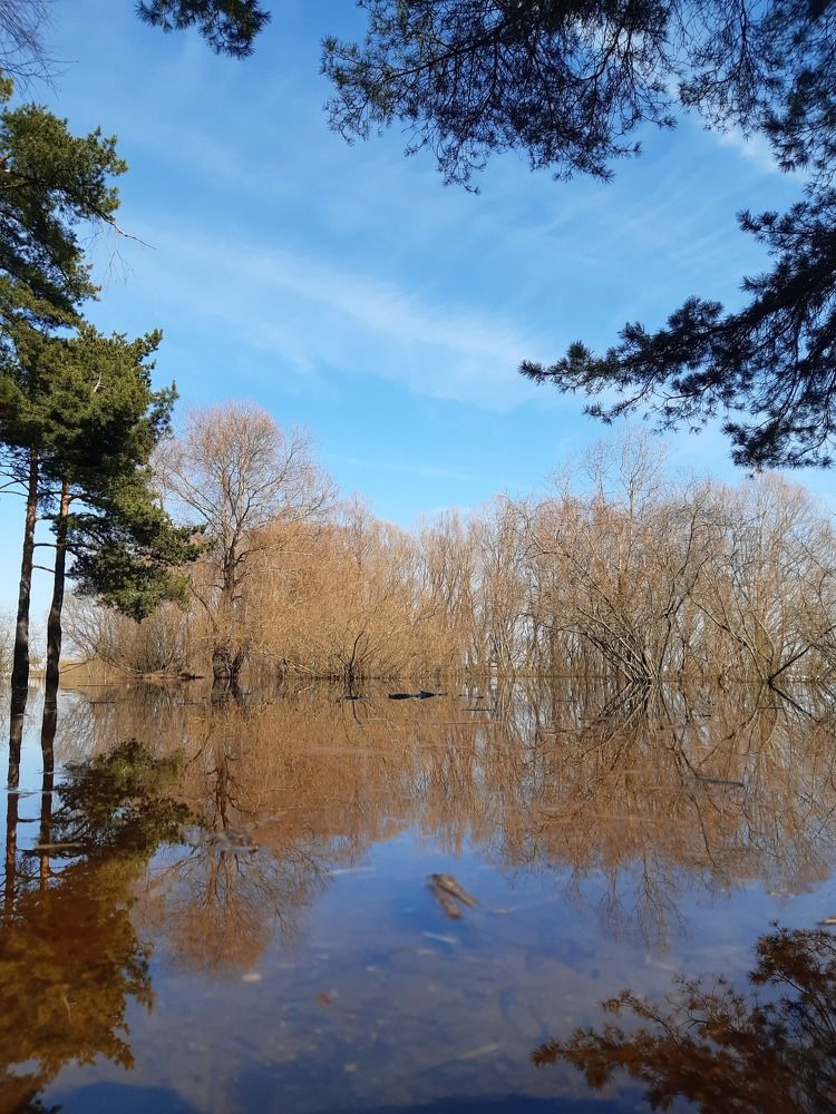 Photograph by Татьяна Смирнова