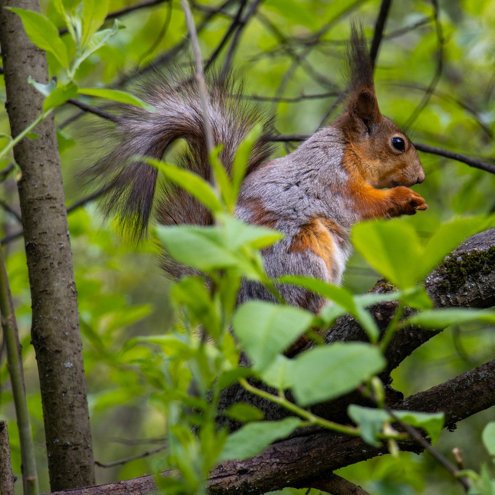 Photograph by Ксения Щукина