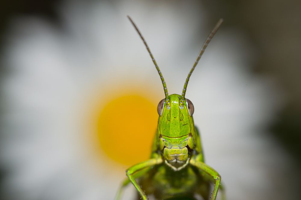 Photograph by Ольга Гоглова