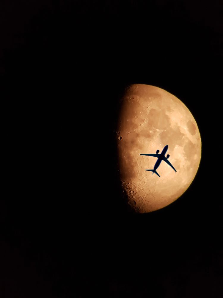 Fly