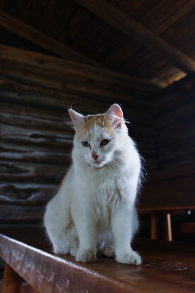 Photograph by Арина Киракосян