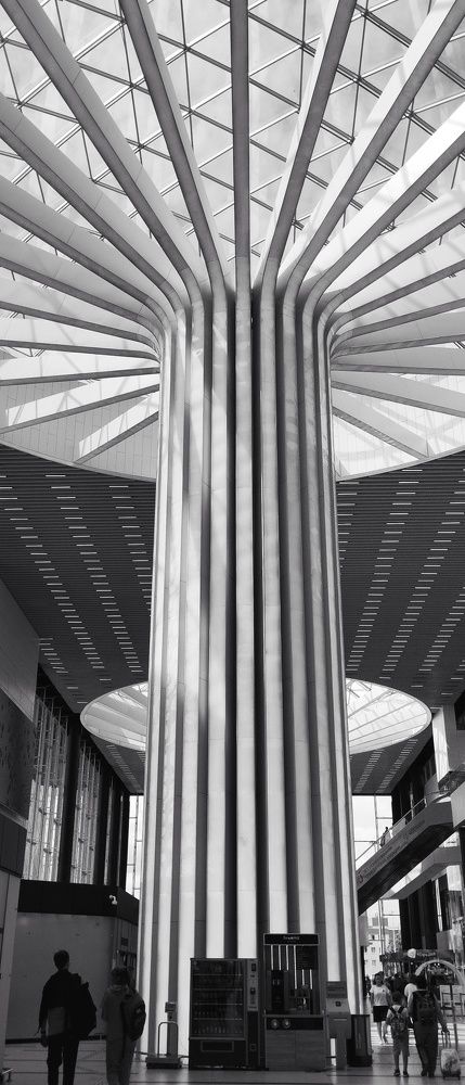 Photograph by Елена Комова