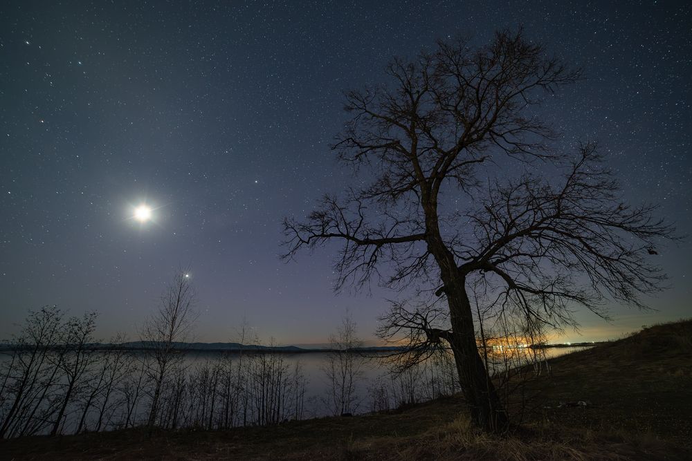 Photograph by Denis Zakalyapin