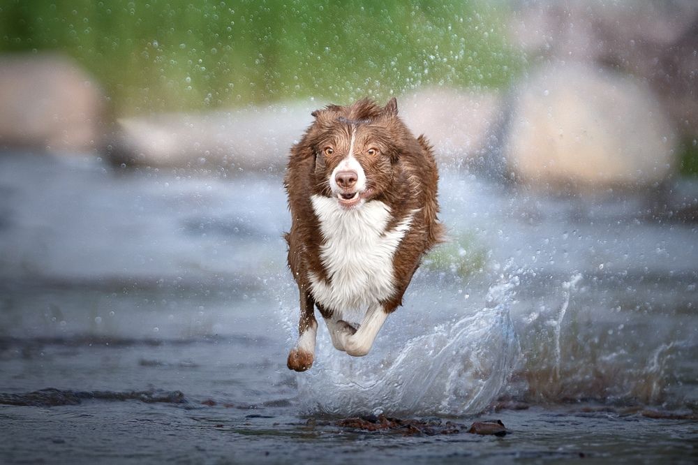 Photograph by Olga Shmeleva