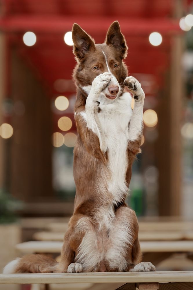 Photograph by Olga Shmeleva