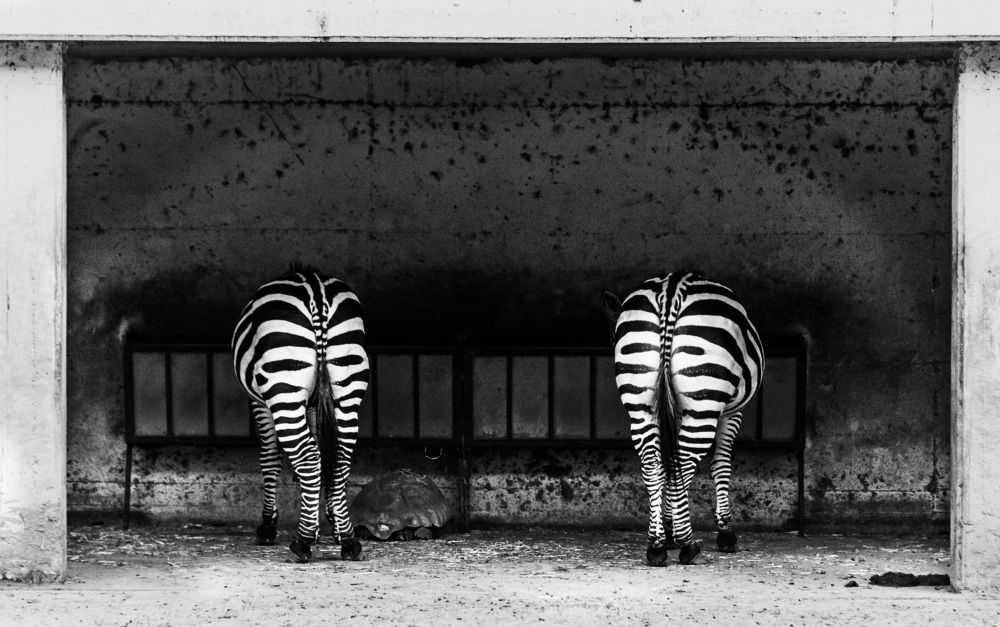 Photograph by Vladimir Bragilevsky