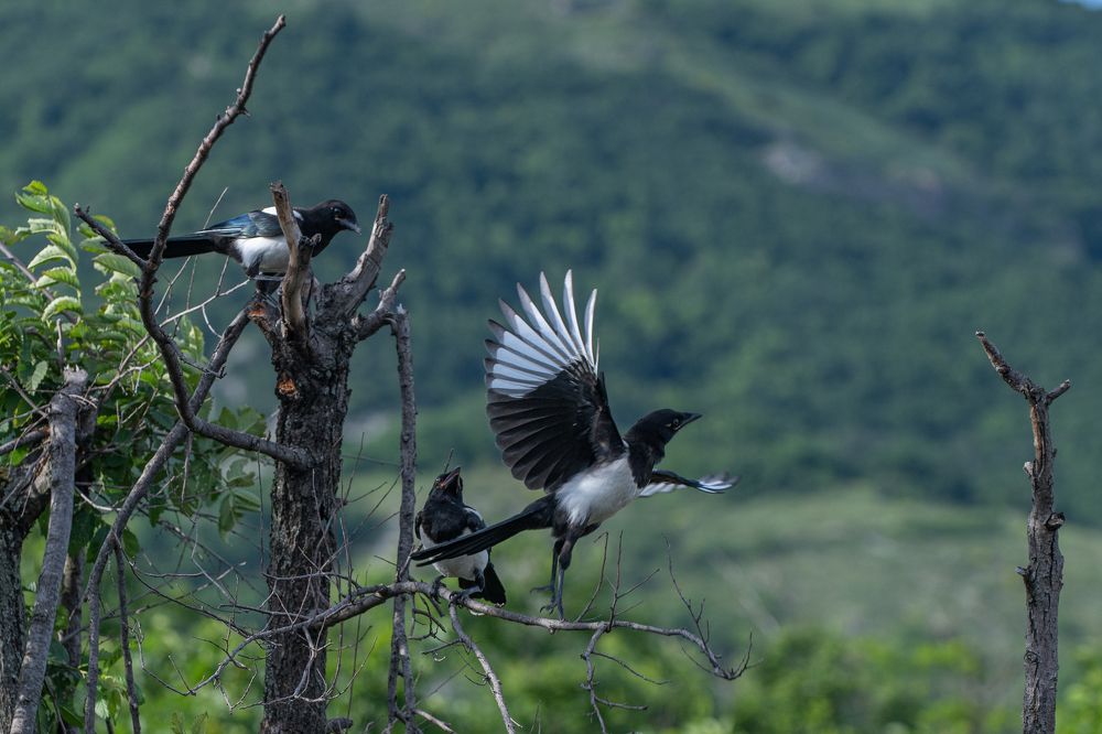 Photograph by Vadim Bryl