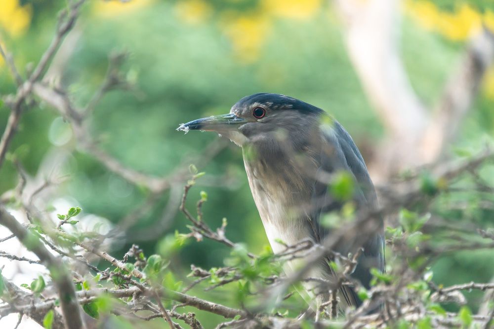 Photograph by Владимир Брагилевский