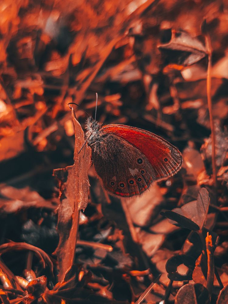 Photograph by Кристина Полякова