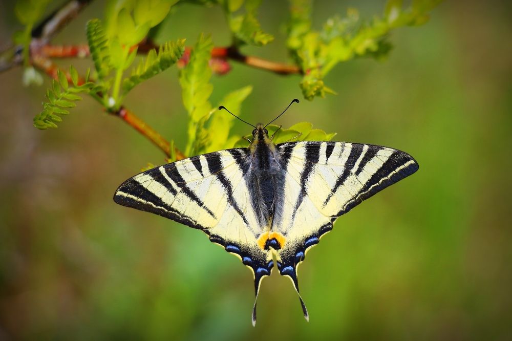 Photograph by Геннадий Натье (Игнатьев)