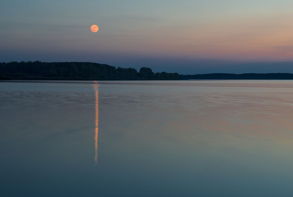 Photograph by Елена Потемина