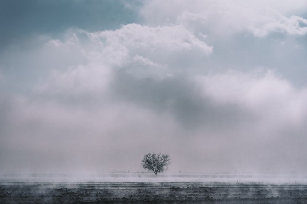 Photograph by Behnam Samipour