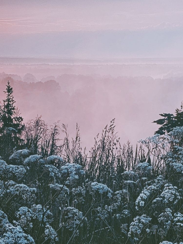 Фотография автора Евгения Никишина