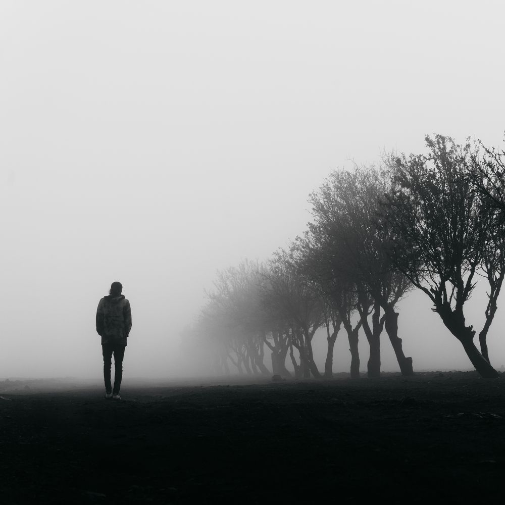 Photograph by Behnam Samipour