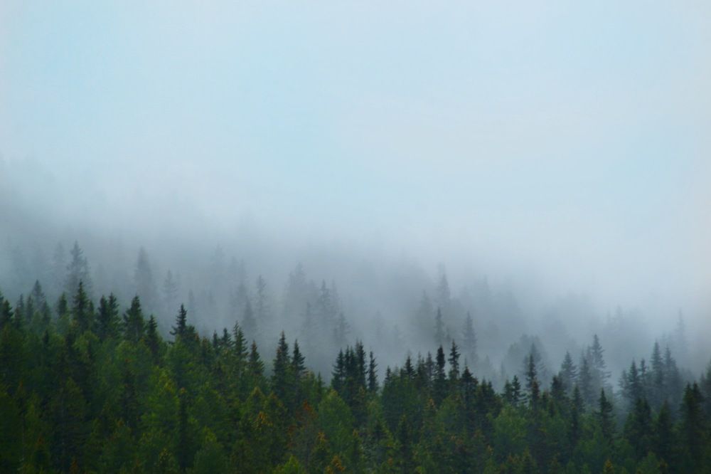 Photograph by Sadrija Ljaić