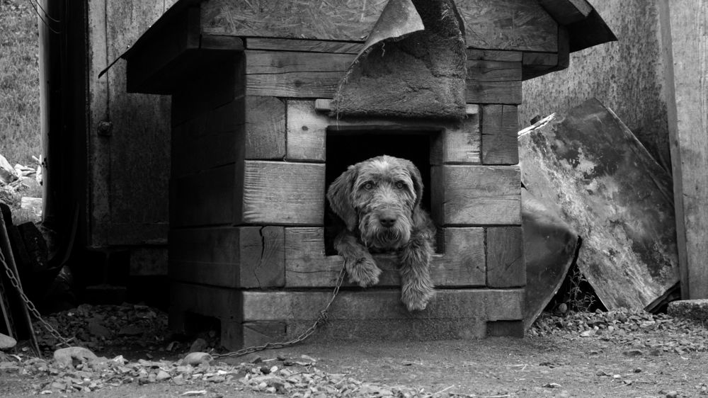 Photograph by Анастасия Морозова