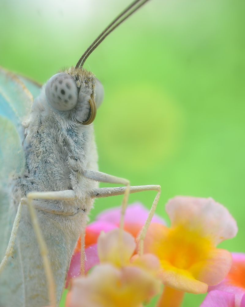 Photograph by Kasun Wickramasinghe