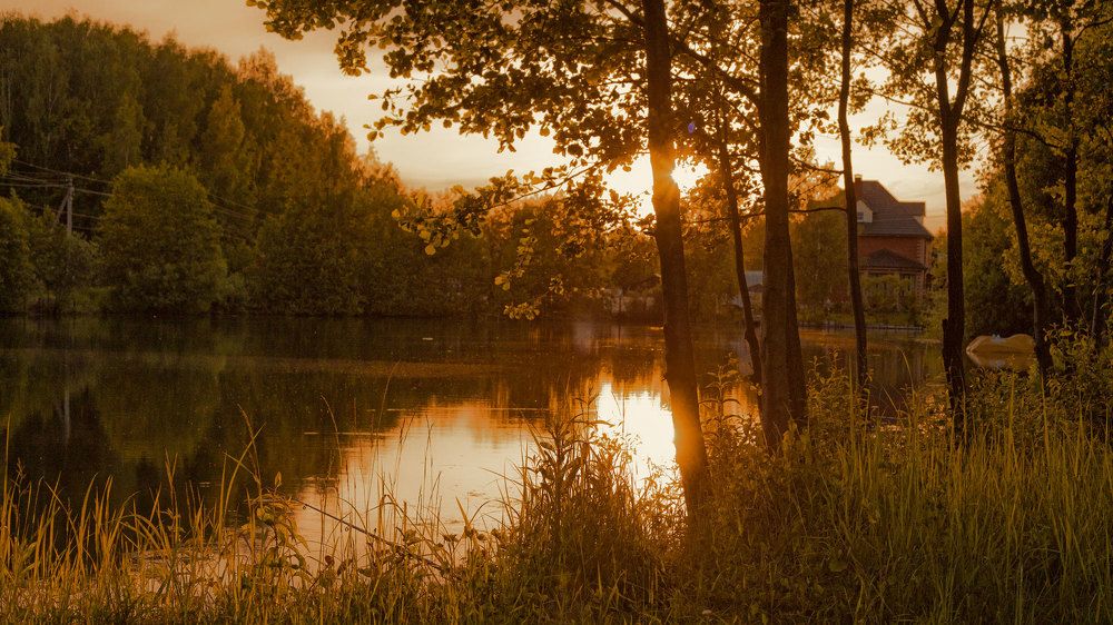 Photograph by Варакин Денис