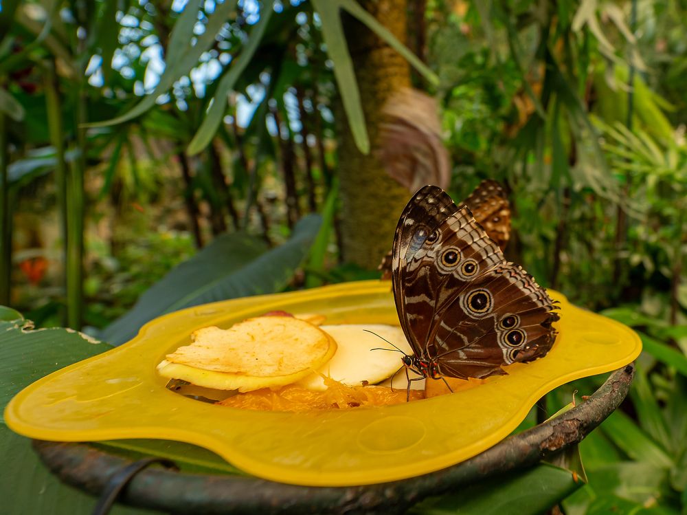 Photograph by Михаил