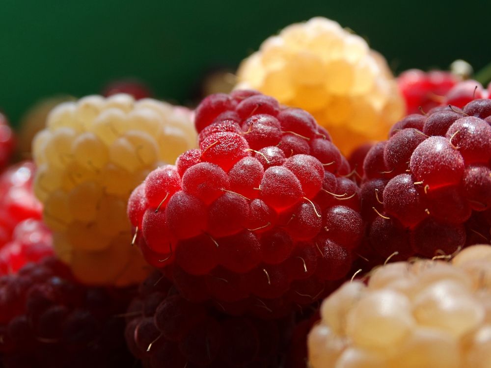 Малиновое предвкушение