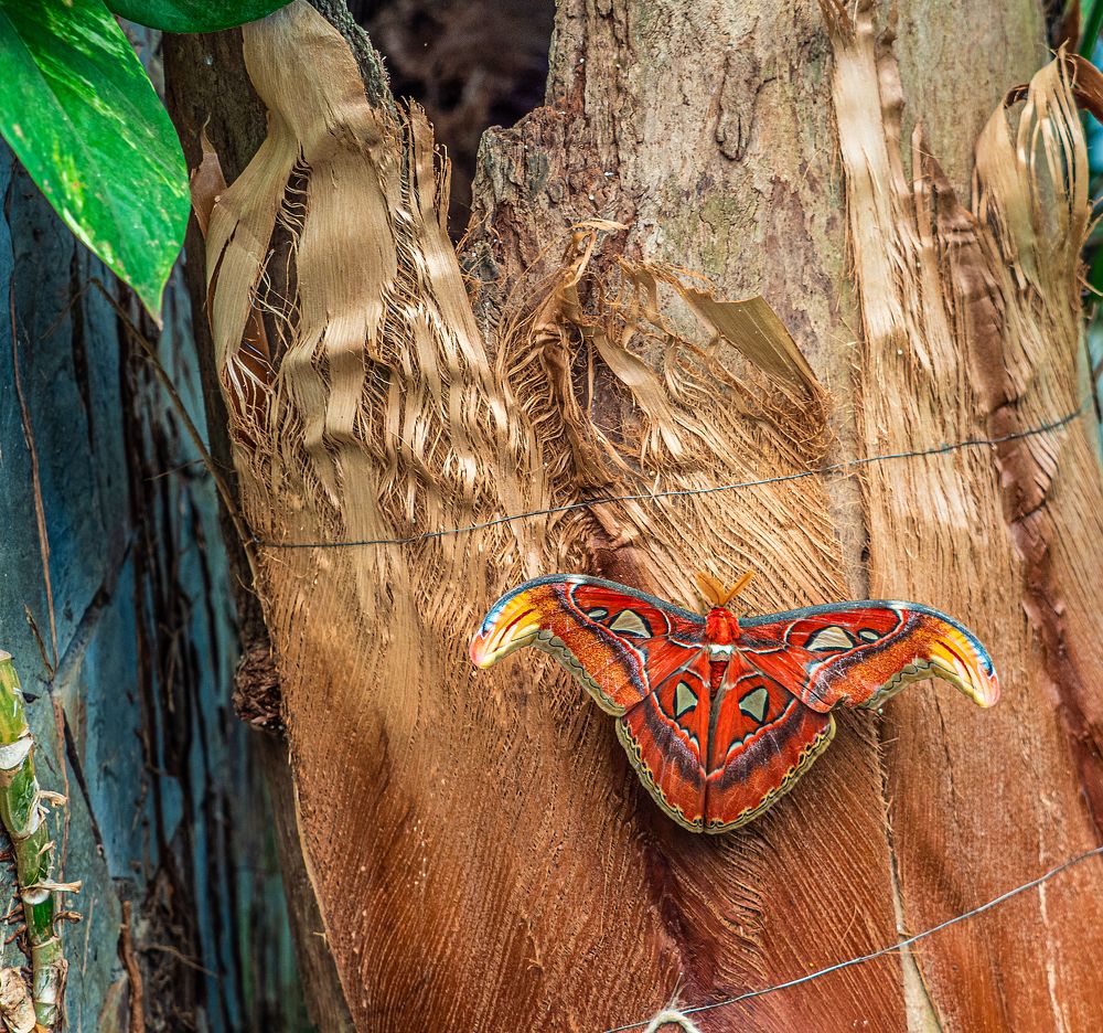 Photograph by Михаил