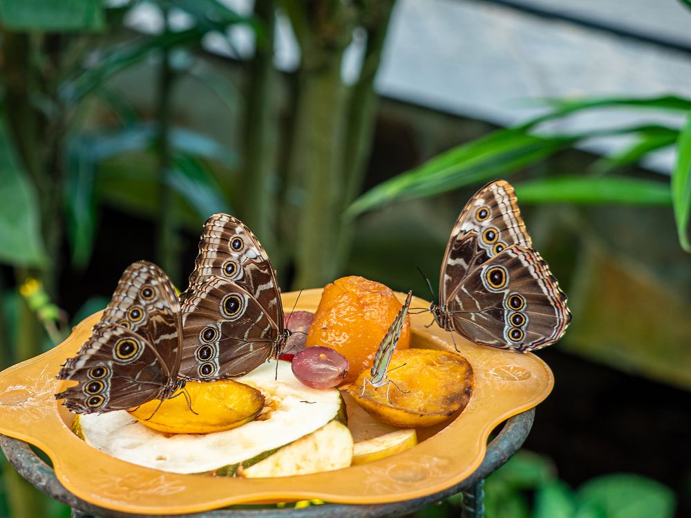 Photograph by Михаил