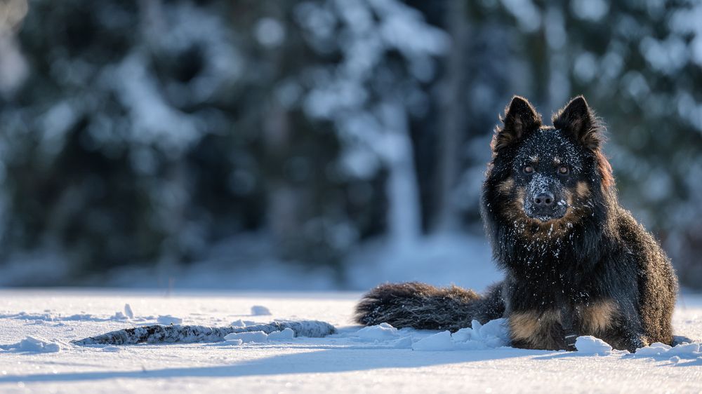 Фотография автора Christian Kieffer