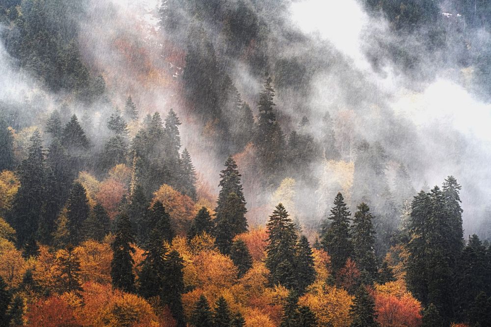 Photograph by Полякова Наталия