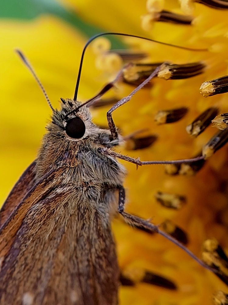 Photograph by Ольга Кирьянова