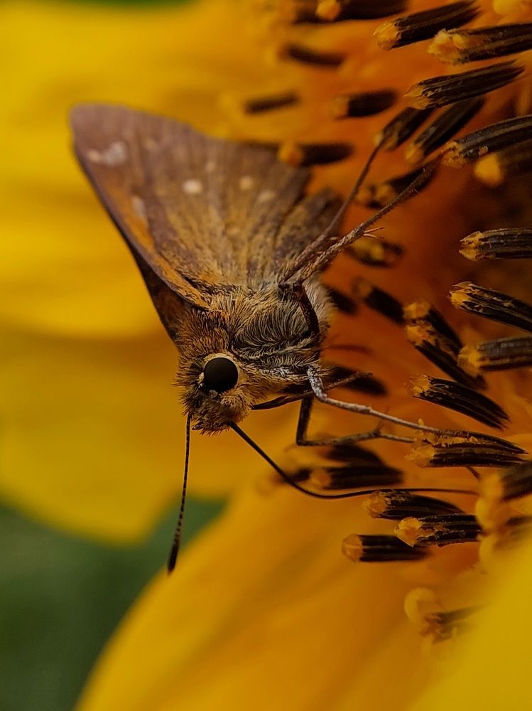 Photograph by Ольга Кирьянова