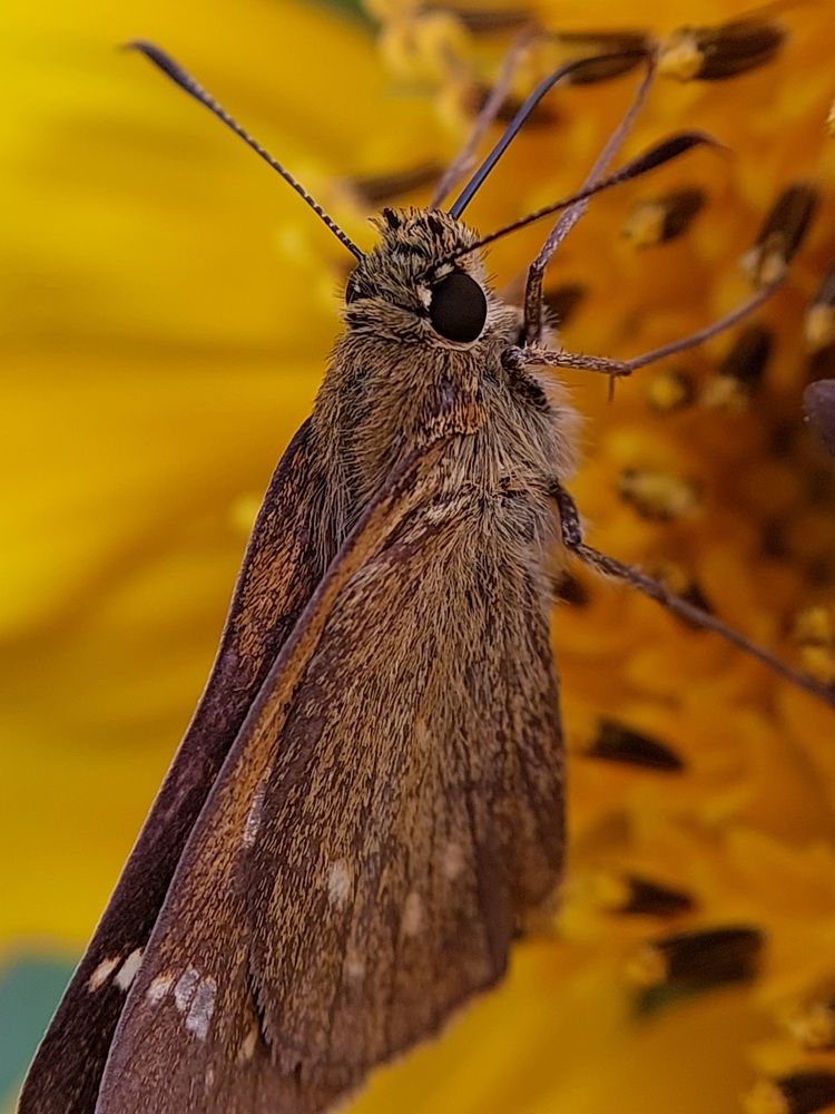 Photograph by Ольга Кирьянова