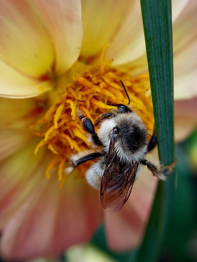 Photograph by Ольга Кирьянова