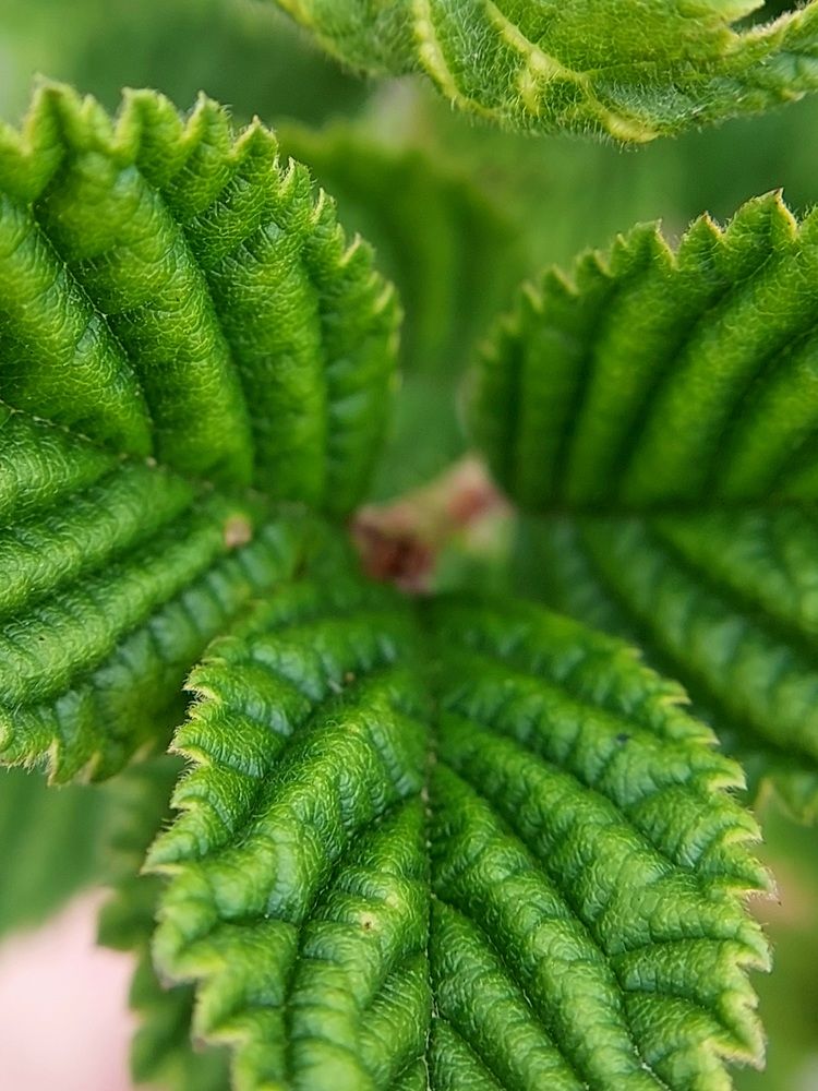 Photograph by Ольга Кирьянова