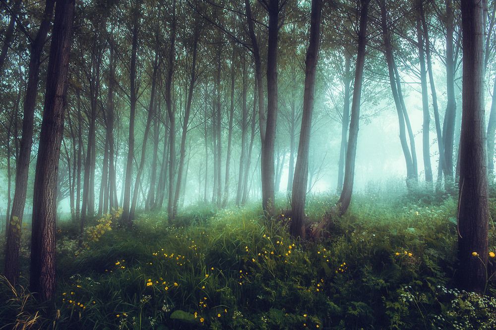 Stillness in the Air