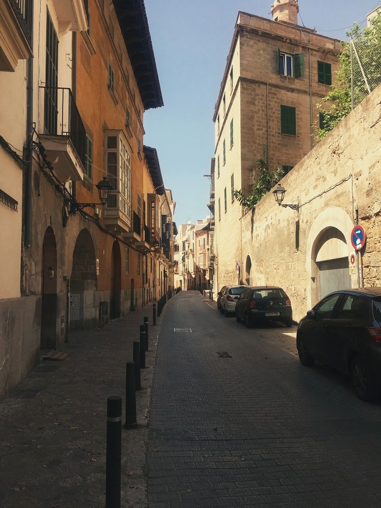 Photograph by Асад Ибадов