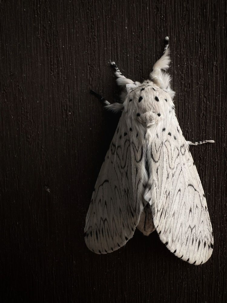 Фотография автора Александра Евченко