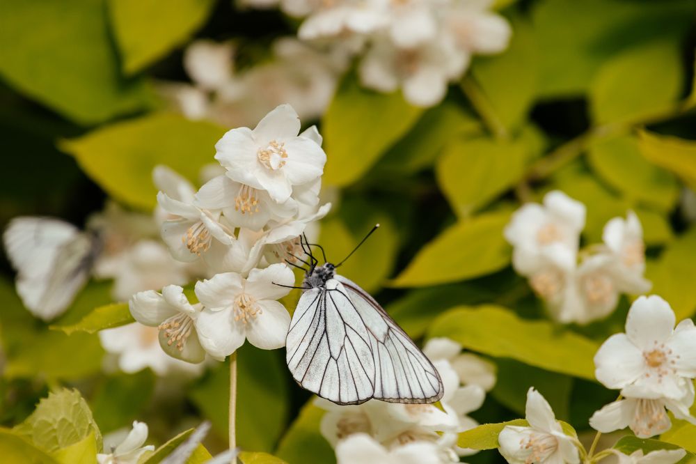 Photograph by Корчагина Оксана