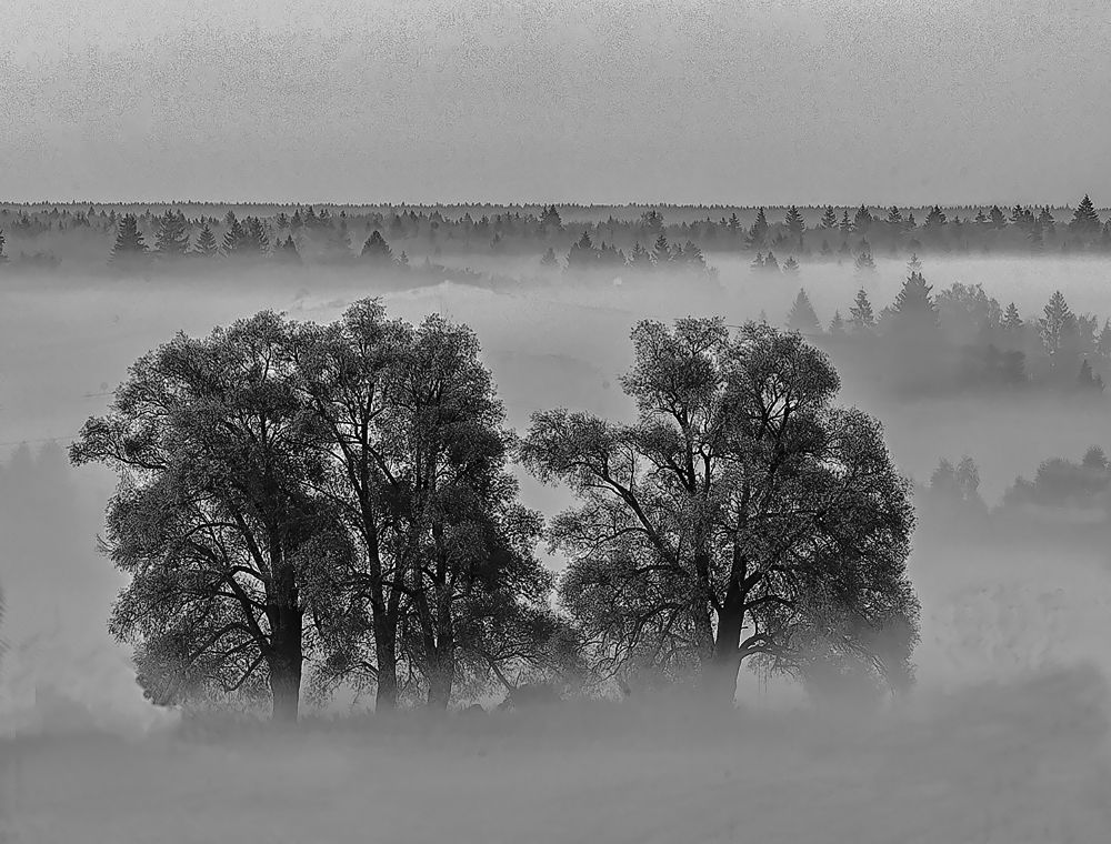 Photograph by Владимир Баулин