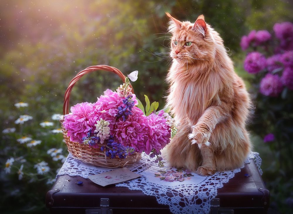 Grandma's Garden/Бабушкин сад