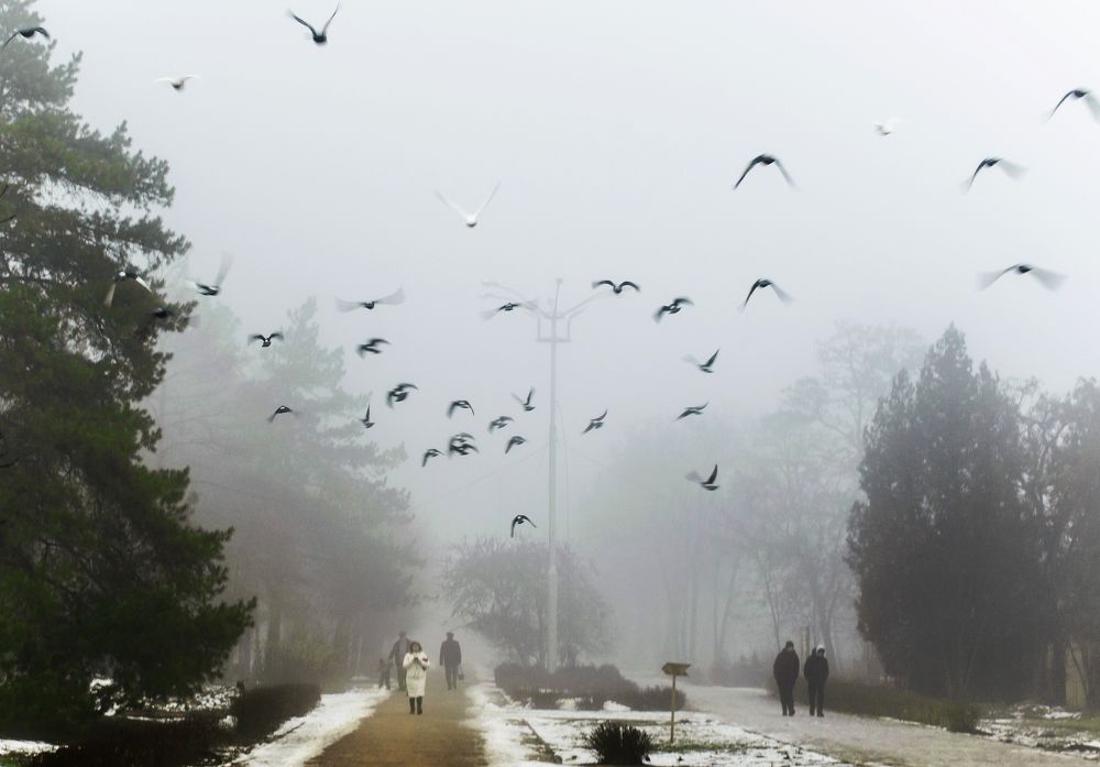 февраль в парке