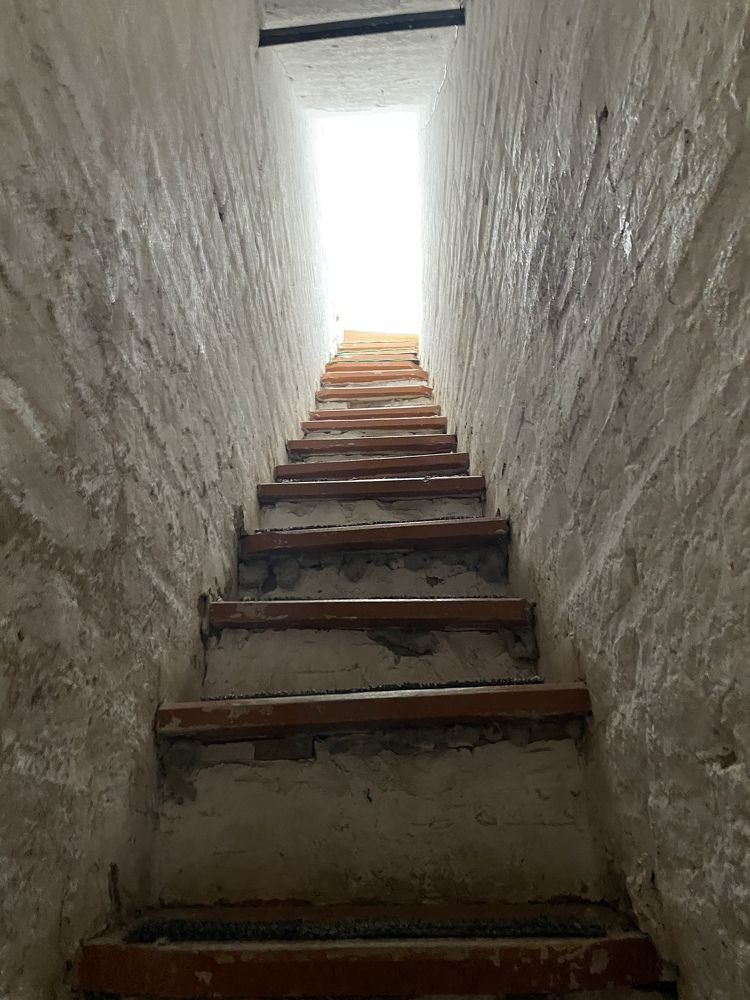 Фотография автора Анна Могилева