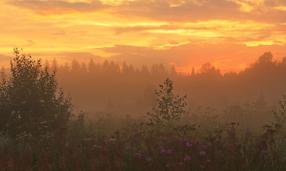 Фотография автора Юрий Кетель