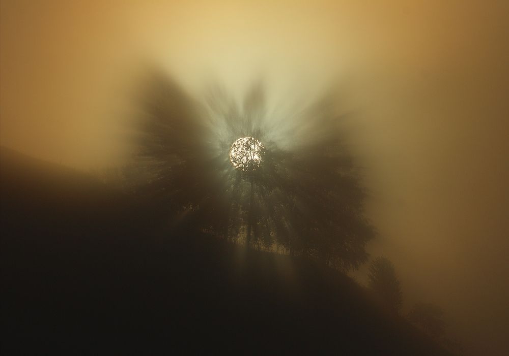 Photograph by Горшков Игорь