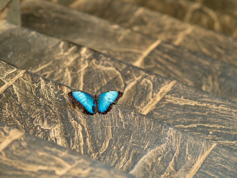 Photograph by Михаил