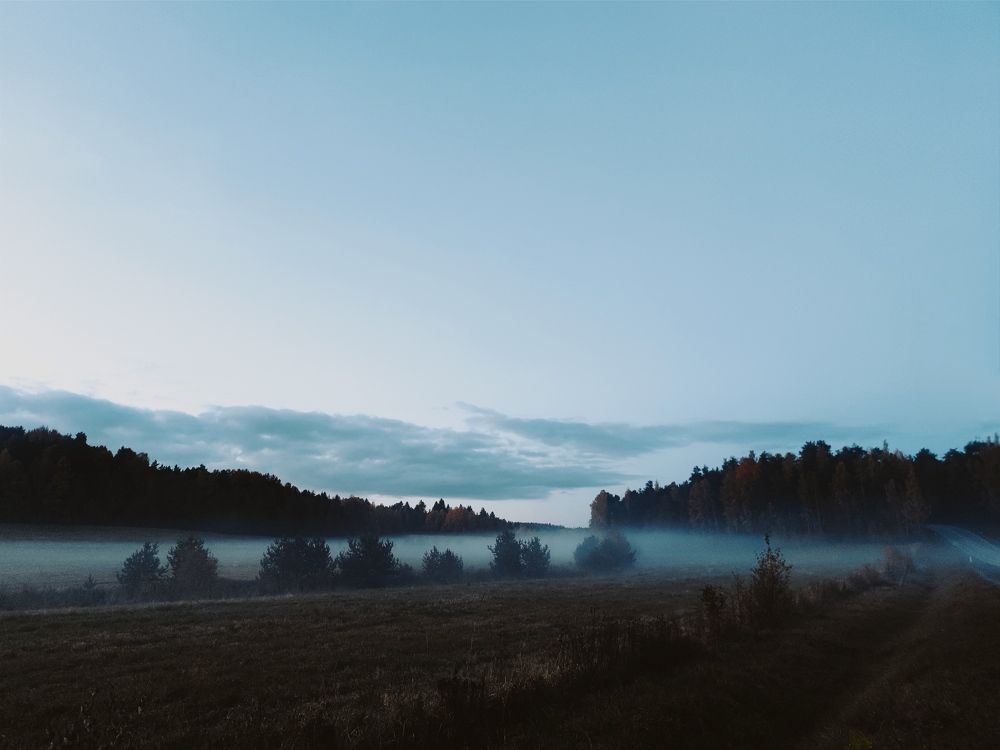 Фотография автора Екатерина