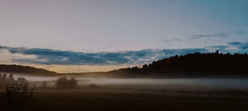 Фотография автора Екатерина