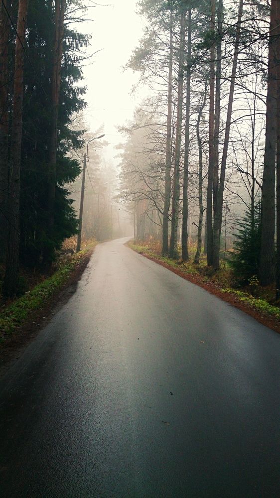 Фотография автора Екатерина