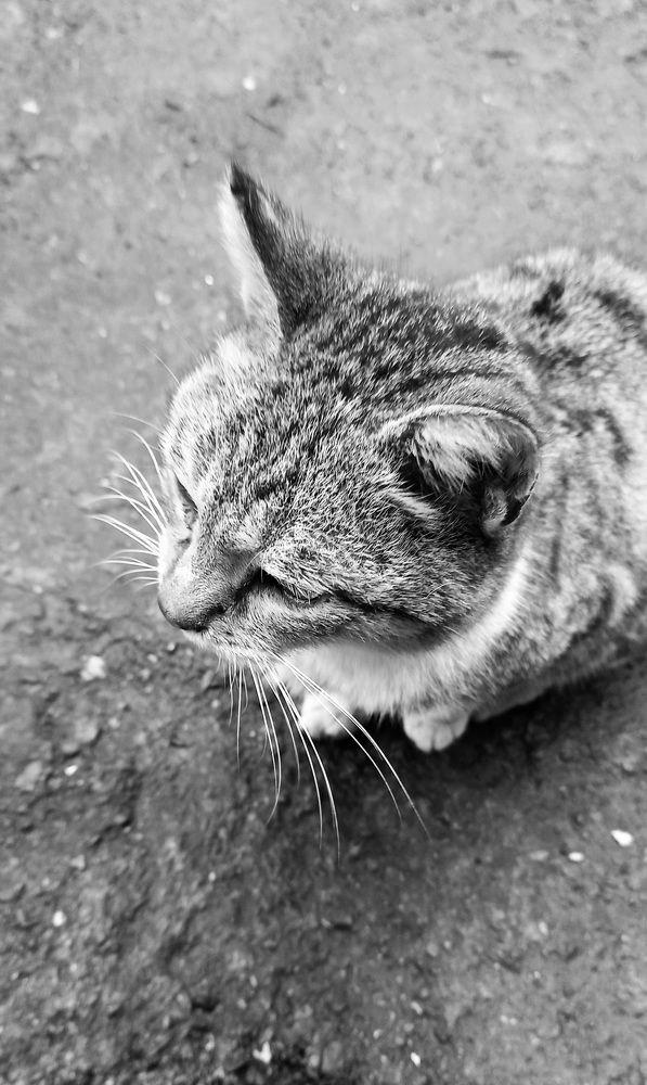 Photograph by Hadi Hadipour